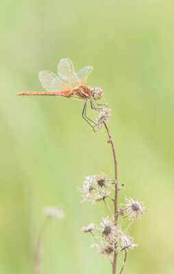Petite pause au Soliel