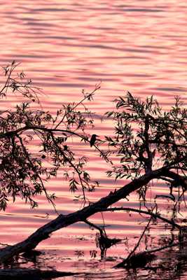 laisser le temps au temps