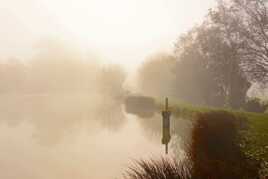 Un matin brumeux de mars