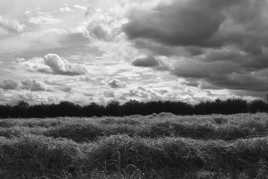 En attendant la pluie