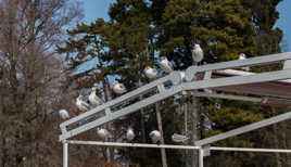 distanciation toujours respectée