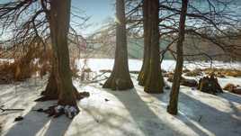 Les pieds dans la glace