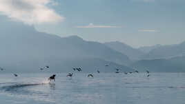 Il marche sur l'eau