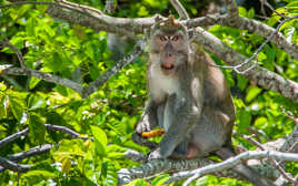 Hé, tu regardes quoi ?