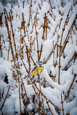 c'est par là la piste verte ?