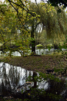 reflet sur la sèvre