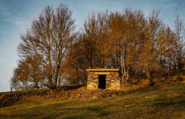 La cabane ensoleillée