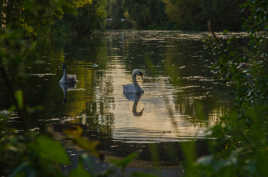 Parenthèses sur seine