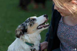 Qu'est ce que je t'aime