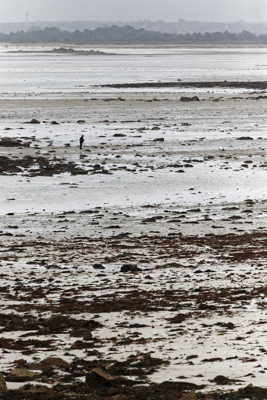 Marée basse