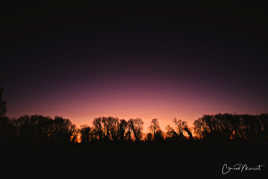 Quand la campagne s'éveille...