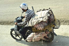 Transport pas commun