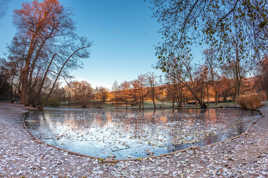 Un matin très froid au Parc