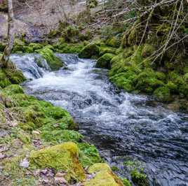 l'eau vive