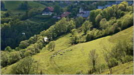 Quitter le plancher des vaches