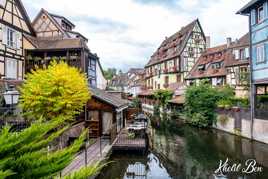 PAYSAGES D'ALSACE