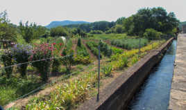 Chemin des meuses (3)