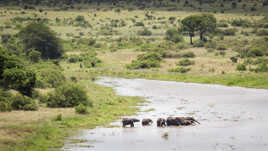 Traversée de rivière