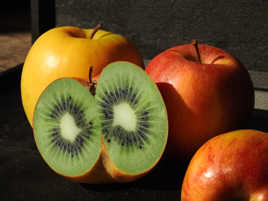 Mutation génétique