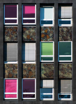 Dans l'ombre ou la couleur