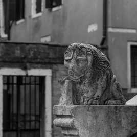 Le lion de Venise