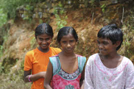 Au détour d'un chemin au Srilanka