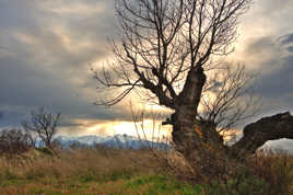 Paysage, Le Canigou