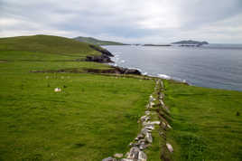 Verte Irlande