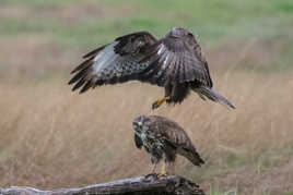 Accostage imminent.....