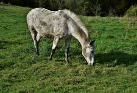 La plus noble conquête de l'homme.2