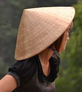 Discrétion délicate