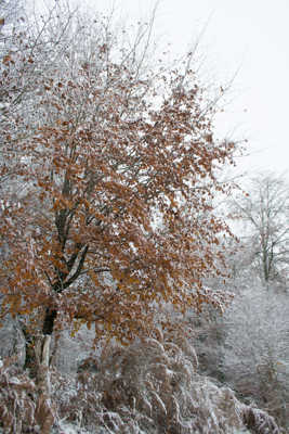 la guerre des saisons
