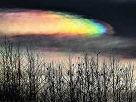 Vapeur d'arc en ciel