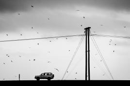 L'assaut des Sternes