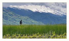 Entre vigne et montagne