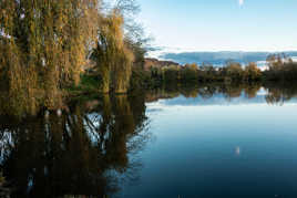 dernier rayon de soleil sur l'étang
