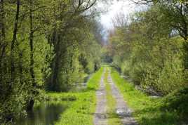 de verdure et d'eau