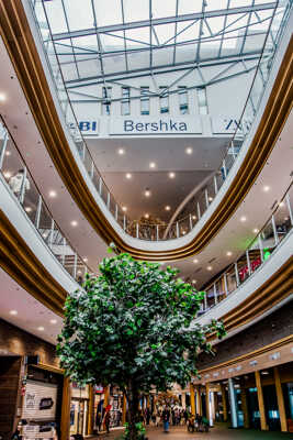 Ballade en grande surface 2