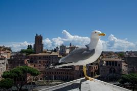 moi aussi je veux etre sur la photo!