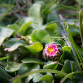 je m'ouvre aux rayons du soleil