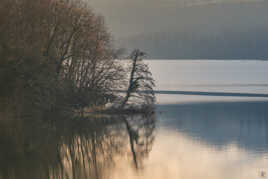 Au bord du lac