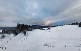 Le Jura en hiver