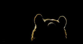 Il en faut peu...pour être heureux!!