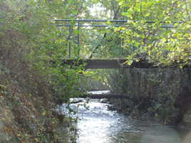 le petit pont