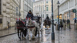 Folklore viennois