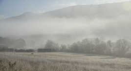 Un semblant d'hiver.