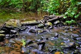 Ruisseau de Villencourt 2