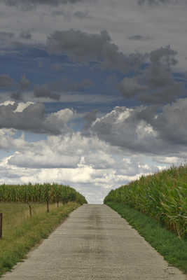Le ciel au bout du chemin ...