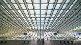 Lignes et lumière 4