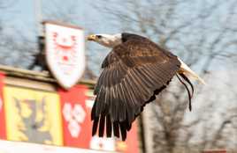 les merveilles du puy du fou